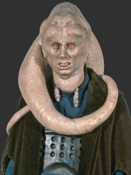 Bib Fortuna